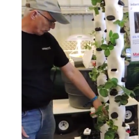 Screen Shot 2014-05-27 at 4.22.54 PM