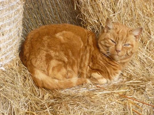 Ginger aka Death.
