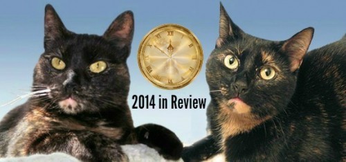 2014 year end review