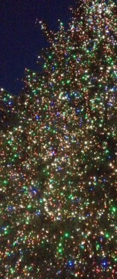 tree3