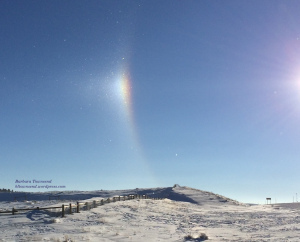 SP Reflection, small