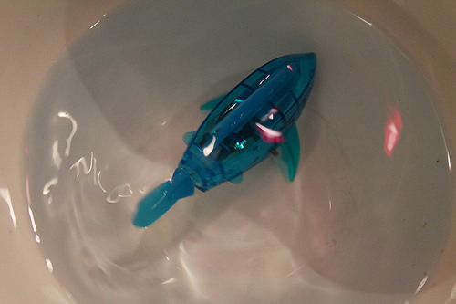 fish robot in soup bowl