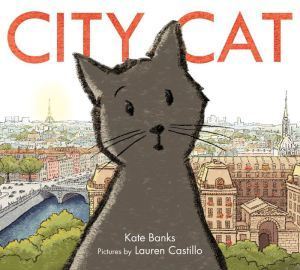 city cat