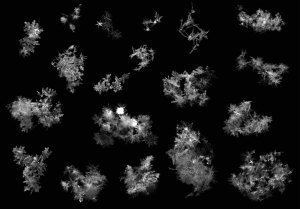 snow crystals