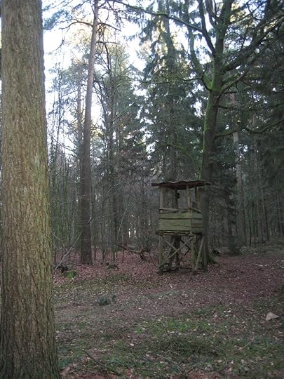 Hunter's seat