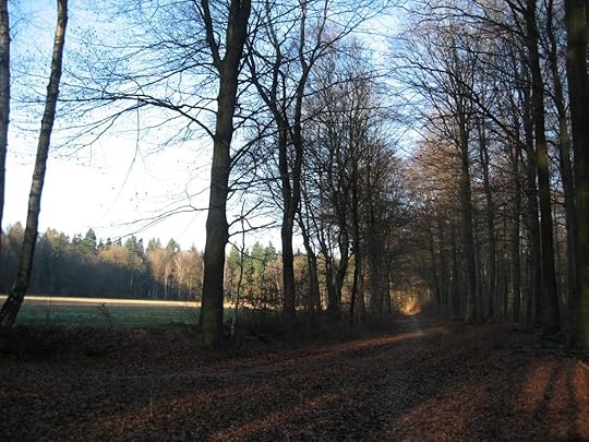 Woodland edge