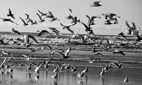 4167653247_b0da6b46ce_b