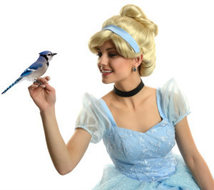 Cinderella holding a bird isolated on a white background