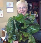 The year I started getting a farm box.