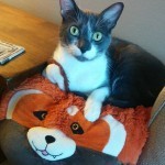 Oslo uses a red panda for a bed.