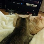 Oslo's face says it all.