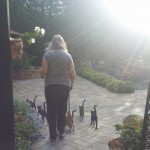 Sally and her kitten army