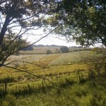 The gorgeous fields of Iowa during 
