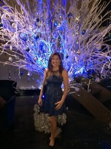 Lisa Niver at Sofitel Dec 2014
