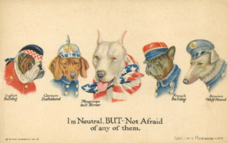 dogs