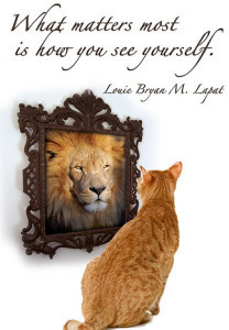 confidence