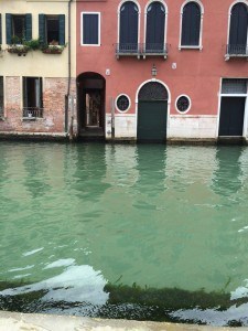 IMG_5851