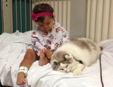 PET PARTNERS CAT 7 TANK