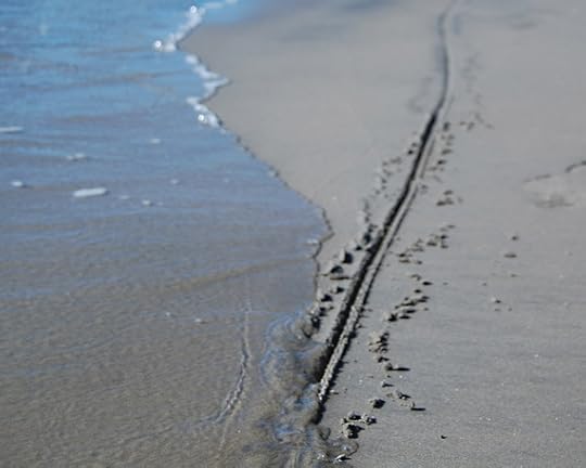 2015-01-01-lineinsand.jpg