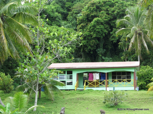 Dravuni Home