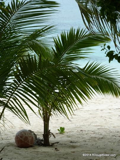 Anchoring the Palm