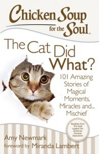 The Cat Did What