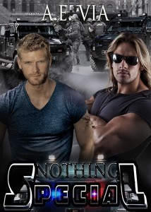 NOTHING SPECIAL -revised edition 500x700