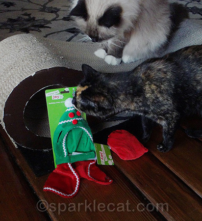 I think Boodie is telling her she can have it