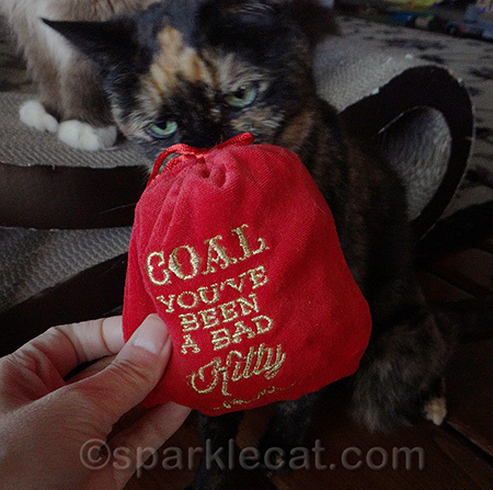 I think she considers this very low on my human's part