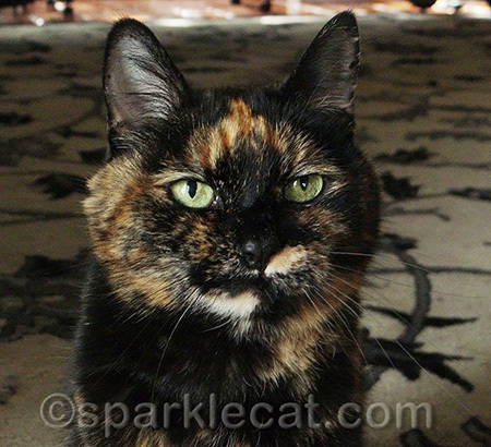Supposedly, this is her serious and earnest expression