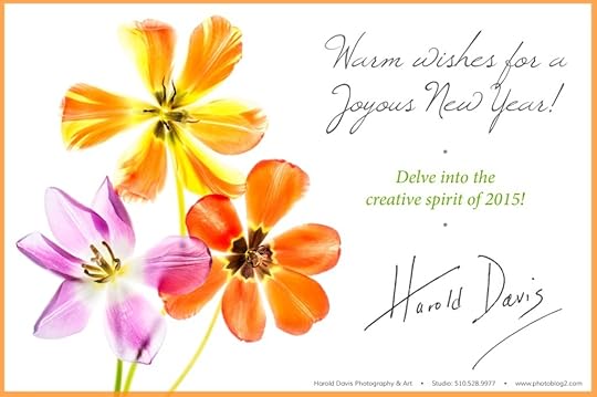 2015-New_Year-Harold Davis