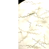 Screen Shot 2014-05-23 at 4.33.04 PM