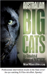 Screen shot 2014-11-20 at 11.10.00 PM