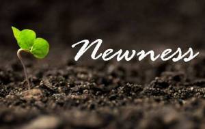 A - Newness