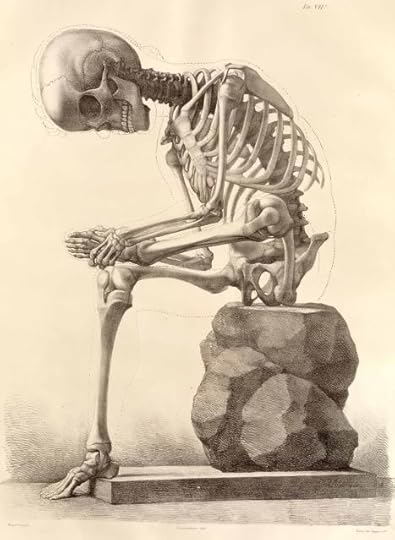 waiting skeleton photo: Sad Skeleton SadSkeleton.jpg