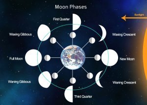 moonphases2