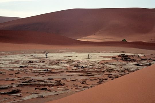  photo deadvlei_wasteland_zps0333d7cd.jpg