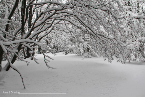 fresh snow_haiku_vashtiquiroz-vega