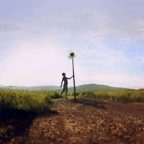 Photo by Joel Robison
