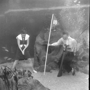 Aquarium