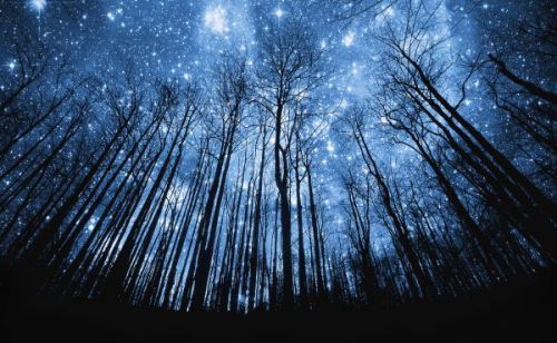 May the stars of the Goddesses shine upon you throughout the beautiful winter, this time of purification and becoming