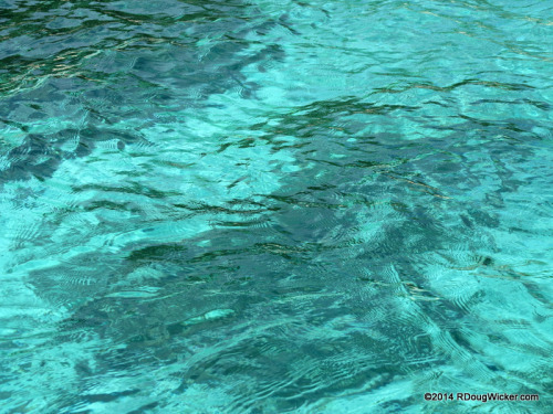 Dravuni Waters
