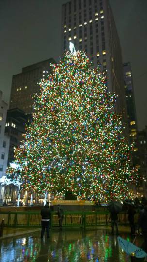 Rock Center Tree