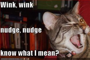 wink