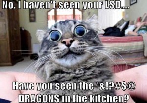 lsd cat