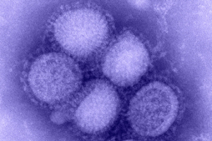 US_Army_50879_Vaccination_is_your_best_protection_against_influenza