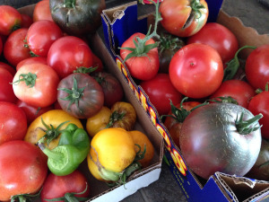 Late-season surprise