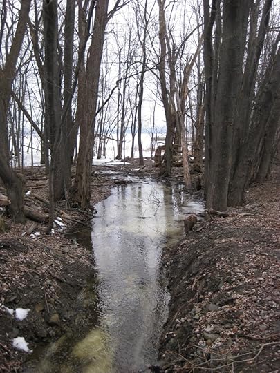 Shirley's Bay (2)