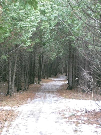 Shirley's Bay (15)