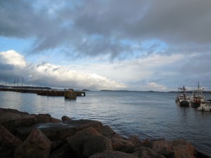 DSCN0496